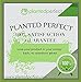 Anytime Garden 4M x 10M Heavy Duty Black Bird Netting for Tree and Plant Protection - Bird Control and Detering Pigeon Nesting on Your House Made in Europe (7 X 75 FT)