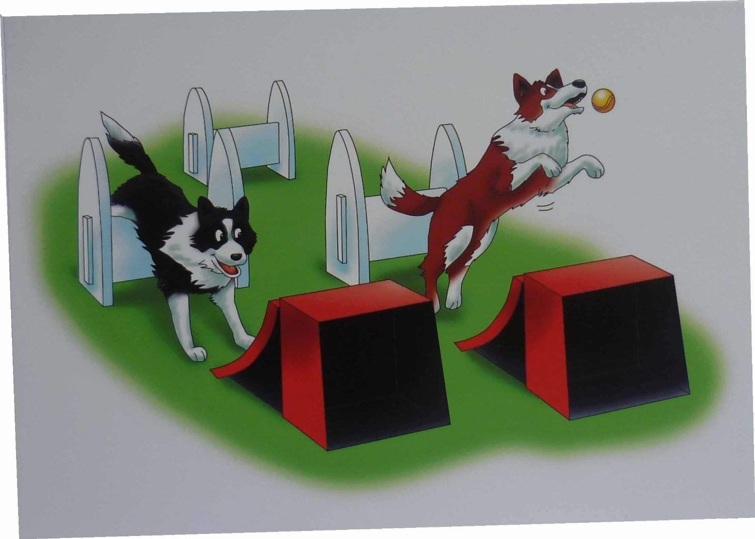 Flyball (collie) Notecards (pack of 10)
