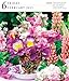 Flowers 2015 Gallery Calendar (Workman Gallery Calendar)