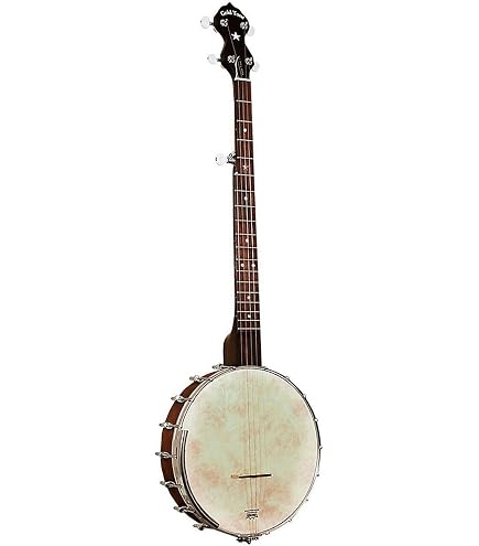 Amazon.com: Gold Tone CC-100 Cripple Creek Banjo (Five String