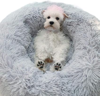 Wewe Lit Animal Chien Litronde Chaud Donut Haustierbett