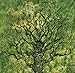 Popular Handicrafts Tapestry Wall Hanging Hippie Tree of Life Bohemian Hippy Psychedelic Design Indian Tapestries Bedspread 54x84 Inches,(140cm x 215cm) Green