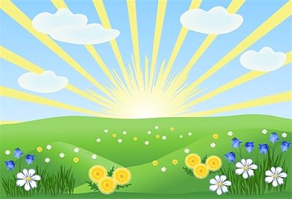 Lfeey 5 X 3 Ft Dibujos Animados Primavera Al Aire Libre Paisaje Fondo Dorado Sol Azul Cielo Nubes Salvajes Flores Grassland Fotografia Fondo Foto Estudio Props Amazon Es Electronica