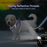 BELLA & PAL Dog Harness Leash Set XXS Purple Step-In Reflective Air Mesh view 6