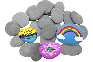 Lifetop 16PCS Painting Rocks, 2"-3" Natural River DIY Rock Flat & Smooth Kindness Rocks for Arts, Crafts, Decoration, Medium Stone for Painting,Hand Picked