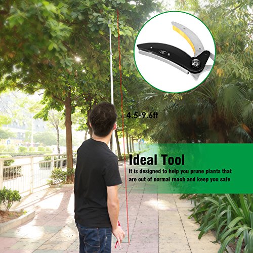 Pole saws for tree trimming, Telescopic Long Reach  Pruner 4.5-9.6 Feet | Long Handled Fruit Picker | Garden bypass Tree Lopper pruning shears With Pole Saw by Belpink - Thumbnail 3