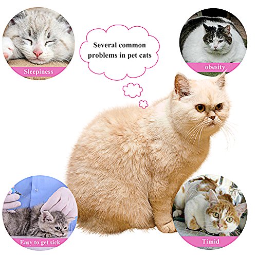 Retractable Cat Toys, 1 Pieces funny cat stick Including Cat Teaser Wand Interactive Feather Toy Fluffy Mouse Balls Catnip for Cats Kitten