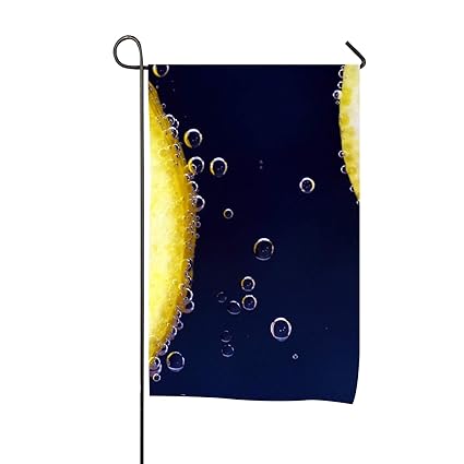 Outdoor Decor Home Garden Flag Summer Lemon Drink Glass Polyester