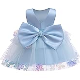 FGTWGS Baby Flower Girl Dress Wedding Bowknot V Back Infant Tulle Tutu Birthday Formal Party Dresses