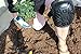 Best Professional Knee Pads For Work, Heavy Duty and Foam Padded, Comfort Gel Cushioned Kneepads for Gardening, Carpenter, Flooring, Cleaning, Mechanics, Hvac, Plumbing and More