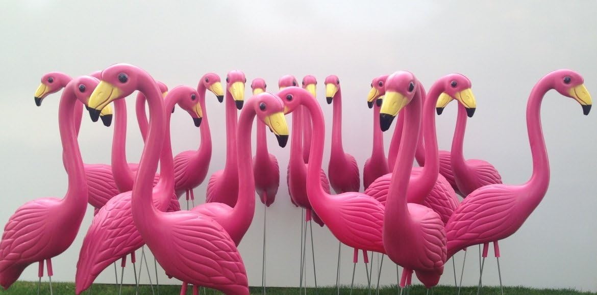 Amazon.com: 10 Premium Plastic Flamingos.: Home & Kitchen