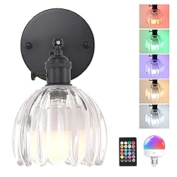Shenmoyl Vintage Battery Operated Wall Sconce with
