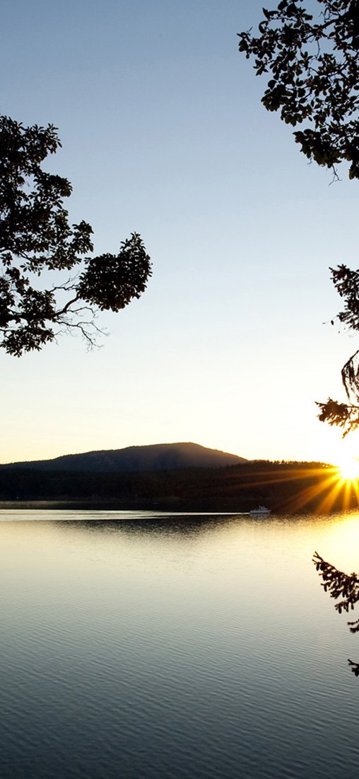 PeelitStickit, Beautiful Nature Wall Murals, ID-0994, vinyl