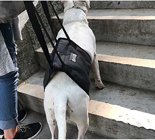 Dog Lift Harness - Support Sling Helps Dogs with Weak Front or Rear Legs Stand Up, Walk, Get Into Cars, Climb Stairs. Best Alternative to Dog Wheelchair - Gray - S