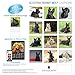 LittleGifts Scottish Terrier 2017 Calendar (3064)