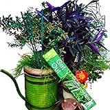 Vibrant Essence Â® Double Strength All Natural Mosquito Repellent Incense Sticks. Potent 20% mix of Citronella, Lemongrass, and Cinnamon plant oils. Great aroma! DEET free bug repeller