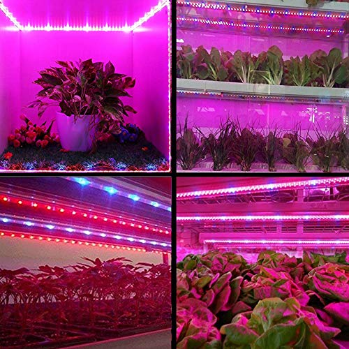 Grow Light Plant,BLIIFUU Adjustable 3pcs Timing Growing Lamp Grow Light Strips with 2A Power Adapter Red/Blue 4:1 Flexible Soft Grow Light Strips with 3/9/12H Memory Timing for Indoor Plants, Hydropon