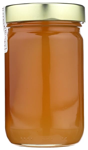 HONEY PACIFICA HNY PCFCA HNY ORANGE, 16 OZ