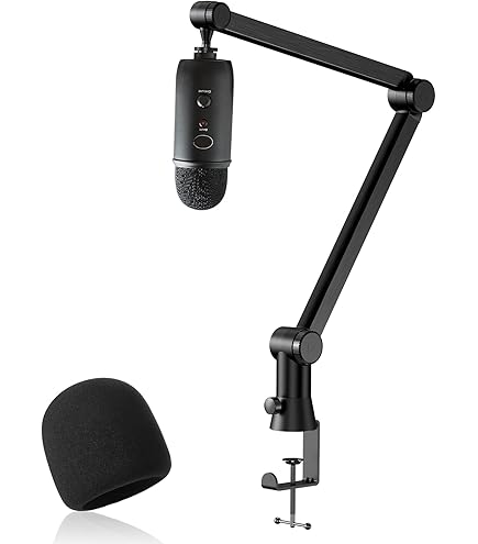 Amazon.com: Blue Compass Premium Tube-Style Microphone