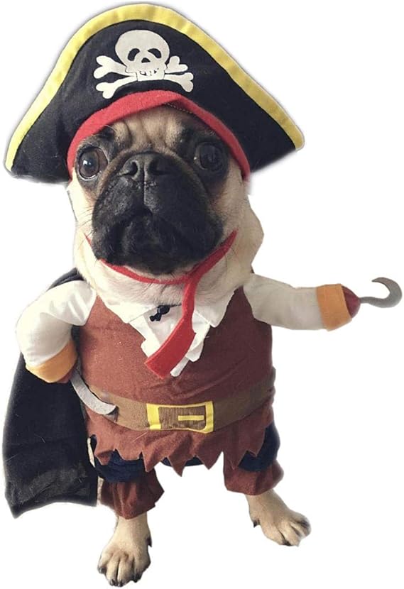 YARBAR Hunde Hundekostüm Hundemantel Für Kleine Weihnachten Karneval