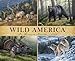 Wild America 2014 Wall Calendar by Willow Creek Press (2013-07-12) by