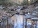 2 lbs. of Rich Unsearched NC Gold Paydirt, plus gold added!!!