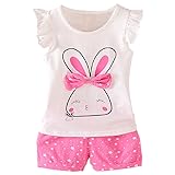 MH-Lucky Baby Girl Clothes Outfits Short Sets 2