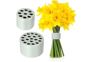 KANNITTY Flower Bouquet Holder, Spiral Ikebana Stem Holder, 2 Pieces DIY Spiral Flower Stem Holder for Flowers, Spiral Stem Holder for Vases, Bouquet Twister Flower Arrangement Holder(Green, S+L)