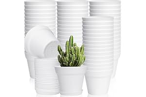 June Fox 60 Pack Small Plant Pots Indoor 4 Inch Plastic Planter with Drainage Holes and Saucers Premium Decorative White Plant Pot for Succulent, African Violets, Flowers, Plants