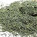 Tealyra - Sencha Kakegawa Green Tea - Best Japanese Loose Leaf Tea - Caffeine Medium - 200g (7-ounce)