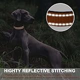 ATETEO Reflective Adjustable Dog Collar with Neoprene Padding 17.7-27.5 in view 5