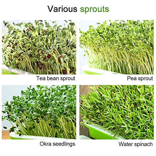 Aquaponic Fish Tank Grow Plants Seed Sprouter Wheatgrass Sprouts Hydroponic Cleaning Ecosystem Water Garden Fish Tank (White) - Thumbnail 6
