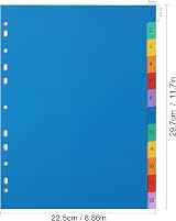 ROSSHINE 10 Pack 1-12 Part A4 File Dividers 11-Hole PVC Multi-Colour Content view 2