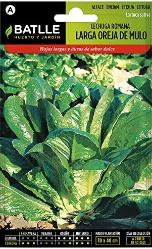 Semillas Hortícolas - Lechuga Romana larga verde claro - Batlle ...