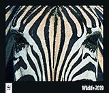 WWF Wildlife 2019 by