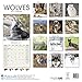 Wolf Calendar - Wolves Calendar - Calendars 2016 - 2017 Wall Calendars - Animal Calendar - Wolves 16 Month Wall Calendar by Avonside