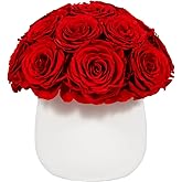 JoyFlower Preserved Flowers Vase Ceramic Decor, Eternal Flower Vases for Centerpieces, Forever Flower Decorations for Home Party Wedding Table Living Room, Ceramic Flower Vase House Decors(Red)