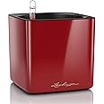 Lechuza 13522 Cube Glossy 16 Self-Watering Planter for Indoor and Outdoor Use, 7" x 7" x 6", Scarlet Red