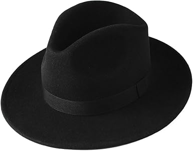 womens wool wide brim hat