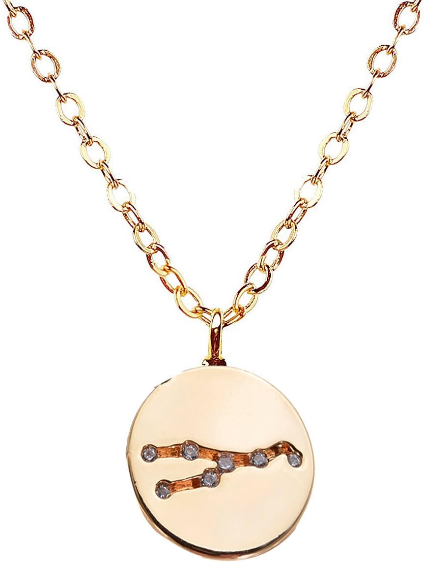 VIVIove Gold Zodiac Constellation Necklace Disc Horoscope Necklace Anniversaries Birthday Gifts