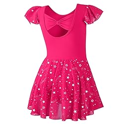 DIPUG Ballet Leotards for Girls Toddler Dance