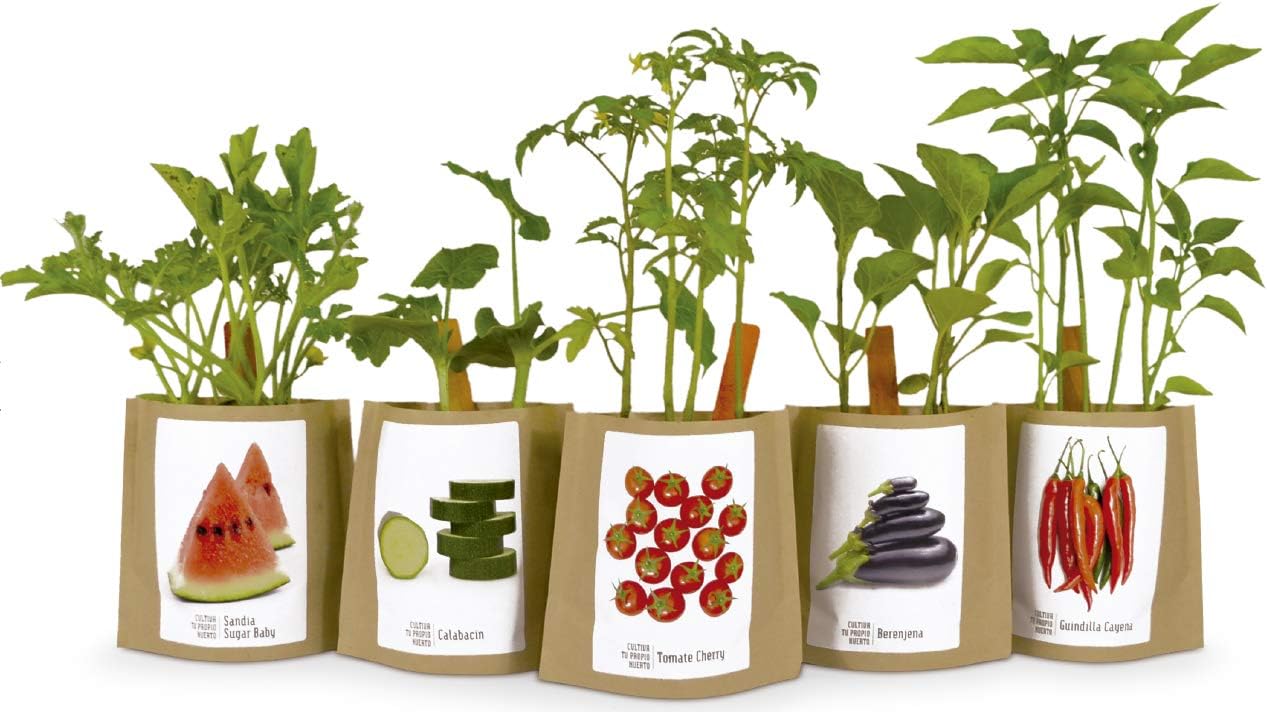Kit de cultivo huerto urbano FRESONES: Amazon.es: Jardín