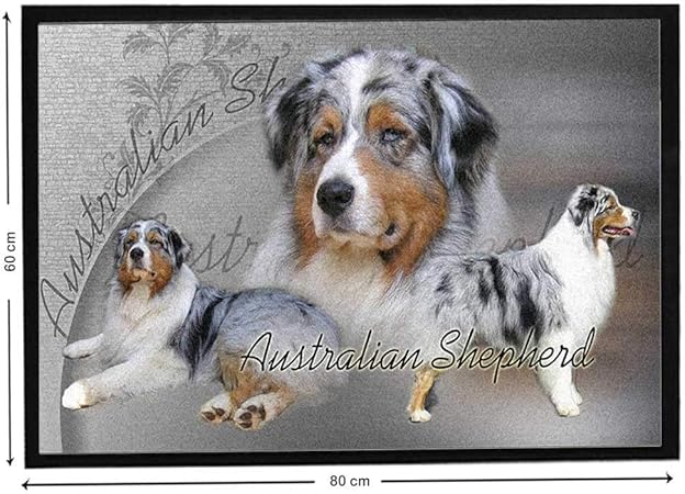 Pets Easy Berger Australien Bleu Sur Tapis Design De Berger