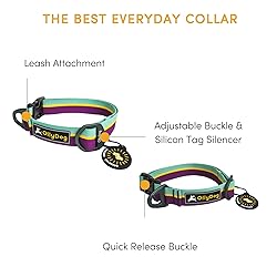 OllyDog Flagstaff Dog Collar, Magenta, Medium