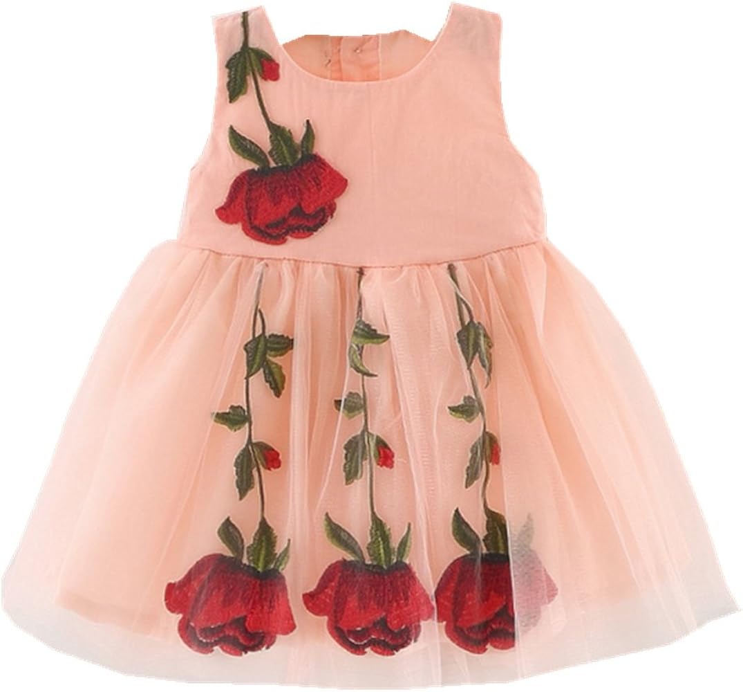 6 month baby girl party dress