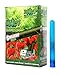 Juicy Hemp Wraps Strawberry Fields (25 Packs, 2 Wraps Per Pack) Includes Display Box and Roll with Us Doobtube (Juicy Jay's)