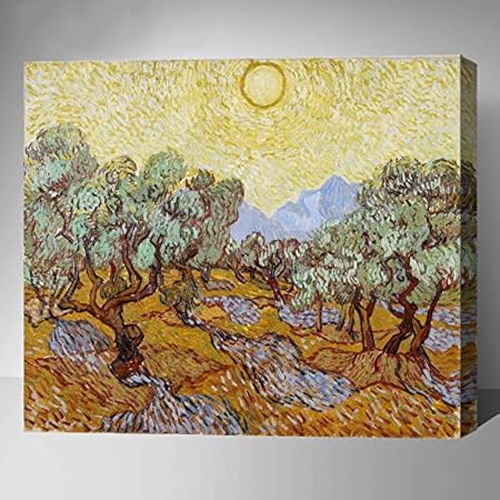 amazon paint by numbers van gogh