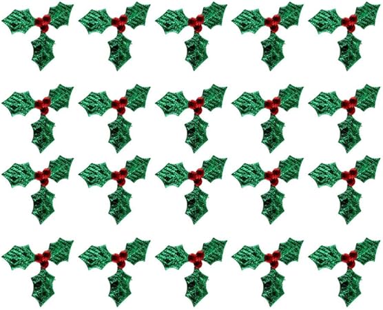 Immagini Agrifoglio Di Natale.Healifty 100 Pezzi Di Bacche Di Agrifoglio Di Natale Patch Mini Foglia Di Bacche Di Ferro Su Applique Ricamata Patch Fai Da Te 5cm Amazon It Casa E Cucina