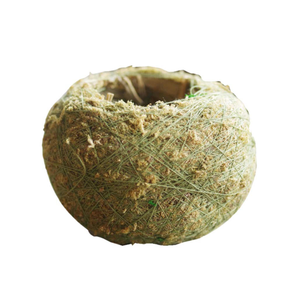 HEMOTON 5pcs Moss Bonsai Planter for Home Garden Flower Planter for Indoor Plant Display