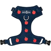 Lucy &amp; Co. Appley Ever After Corduroy No-Pull Dog Harness, XS | No-pull dog harness with front &amp; back leash clips; adjustable Corduroy fit for comfortable walks.